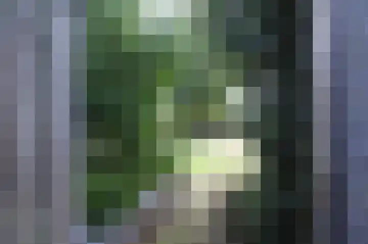 Pater Beekerplein 10 Velden thumbnail 36