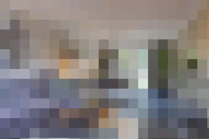 Pater Beekerplein 10 Velden thumbnail 8