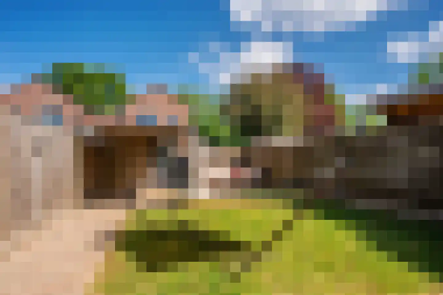 Pater Beekerplein 6 Velden thumbnail 35