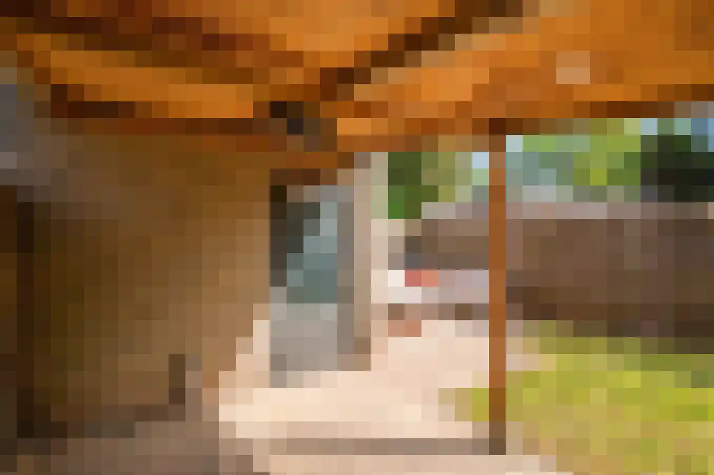 Pater Beekerplein 6 Velden thumbnail 38