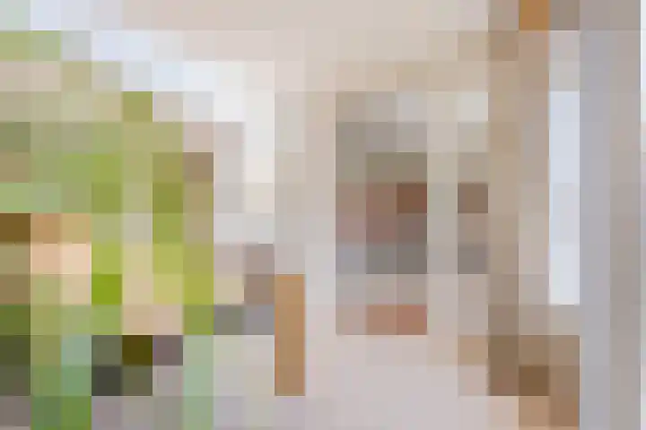 Pater Berthierstraat 2 Grave thumbnail 11