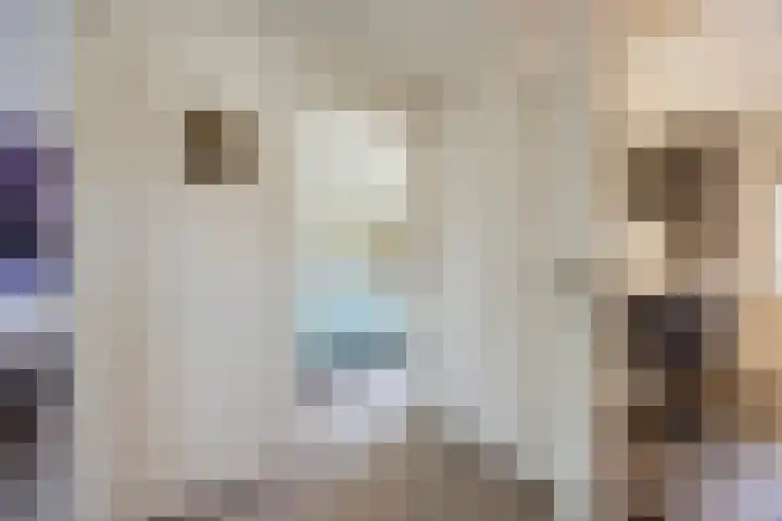 Pater Berthierstraat 2 Grave thumbnail 25