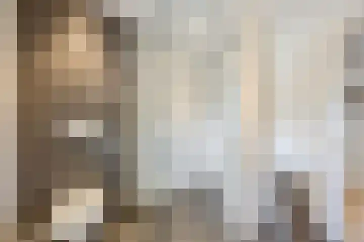 Pater Berthierstraat 2 Grave thumbnail 28