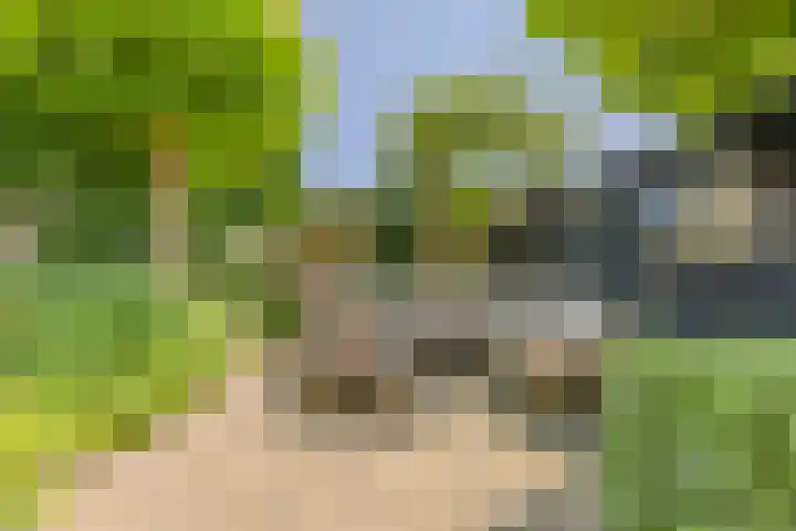 Pater Berthierstraat 2 Grave thumbnail 36