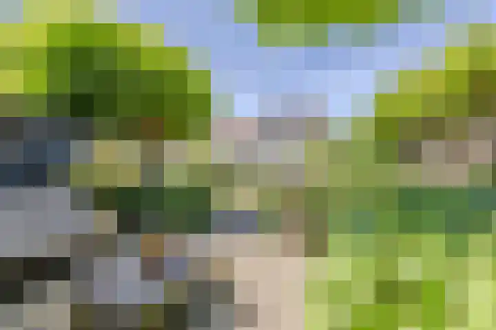 Pater Berthierstraat 2 Grave thumbnail 5