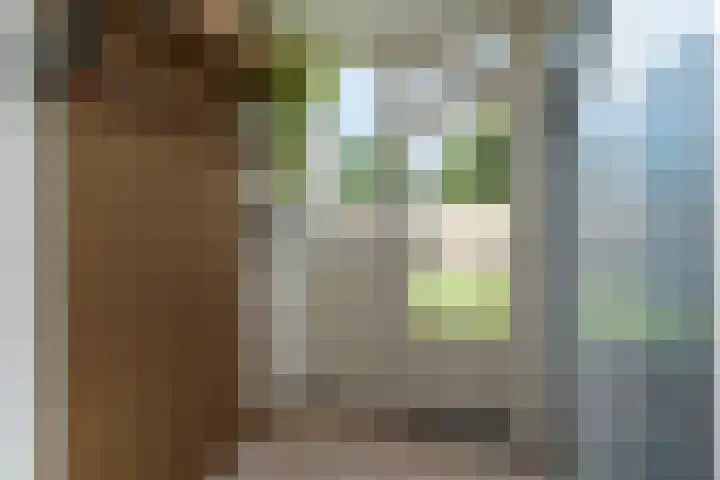 Pater Bleijsstraat 1 Overloon thumbnail 17