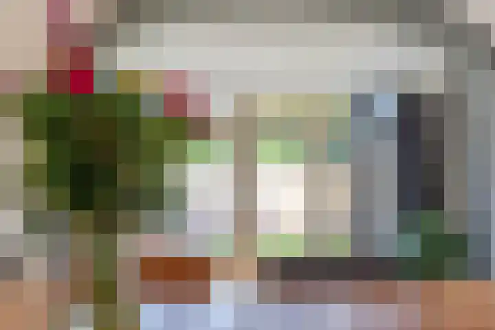Pater Bleijsstraat 1 Overloon thumbnail 32