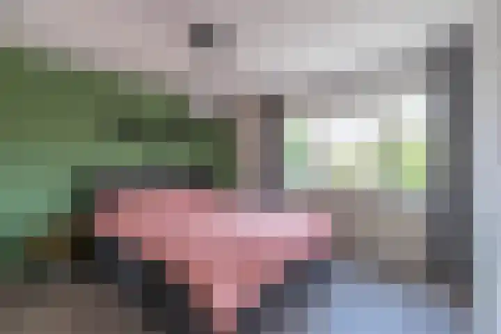 Pater Bleijsstraat 1 Overloon thumbnail 37