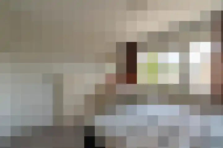 Pater Bleijsstraat 1 Overloon thumbnail 44