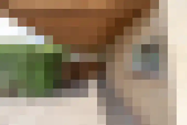 Pater Bleijsstraat 1 Overloon thumbnail 6