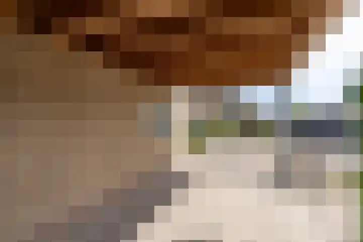 Pater Bleijsstraat 1 Overloon thumbnail 7