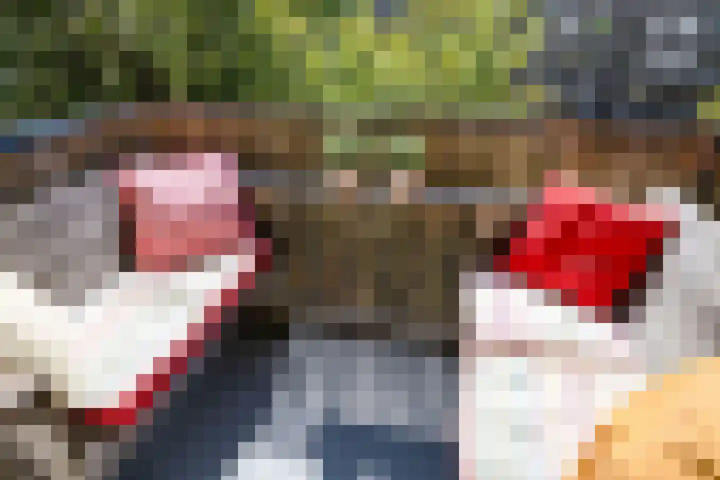 Pater Bleijsstraat 15 Tilburg thumbnail 11