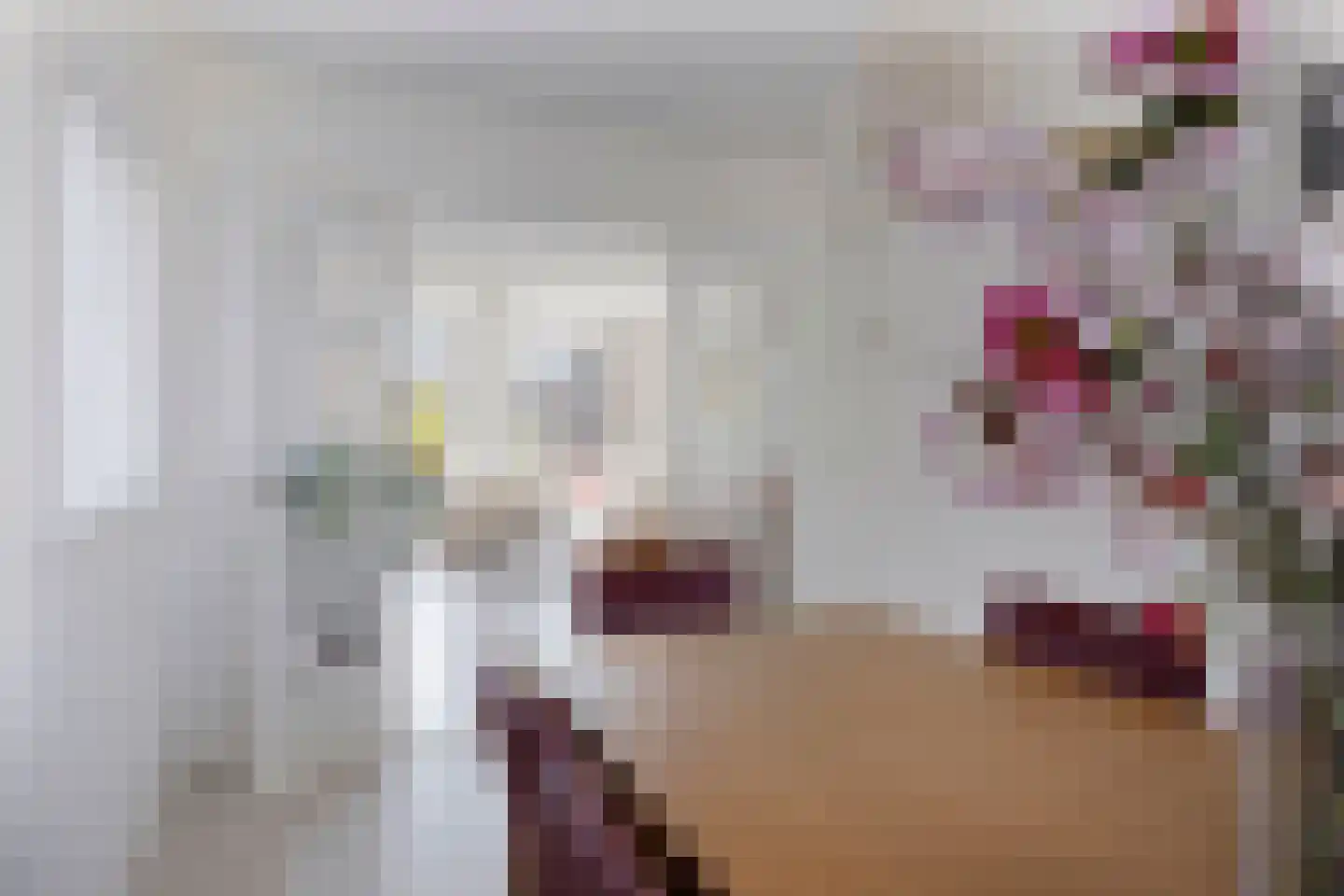 Pater Bleijsstraat 15 Tilburg thumbnail 17