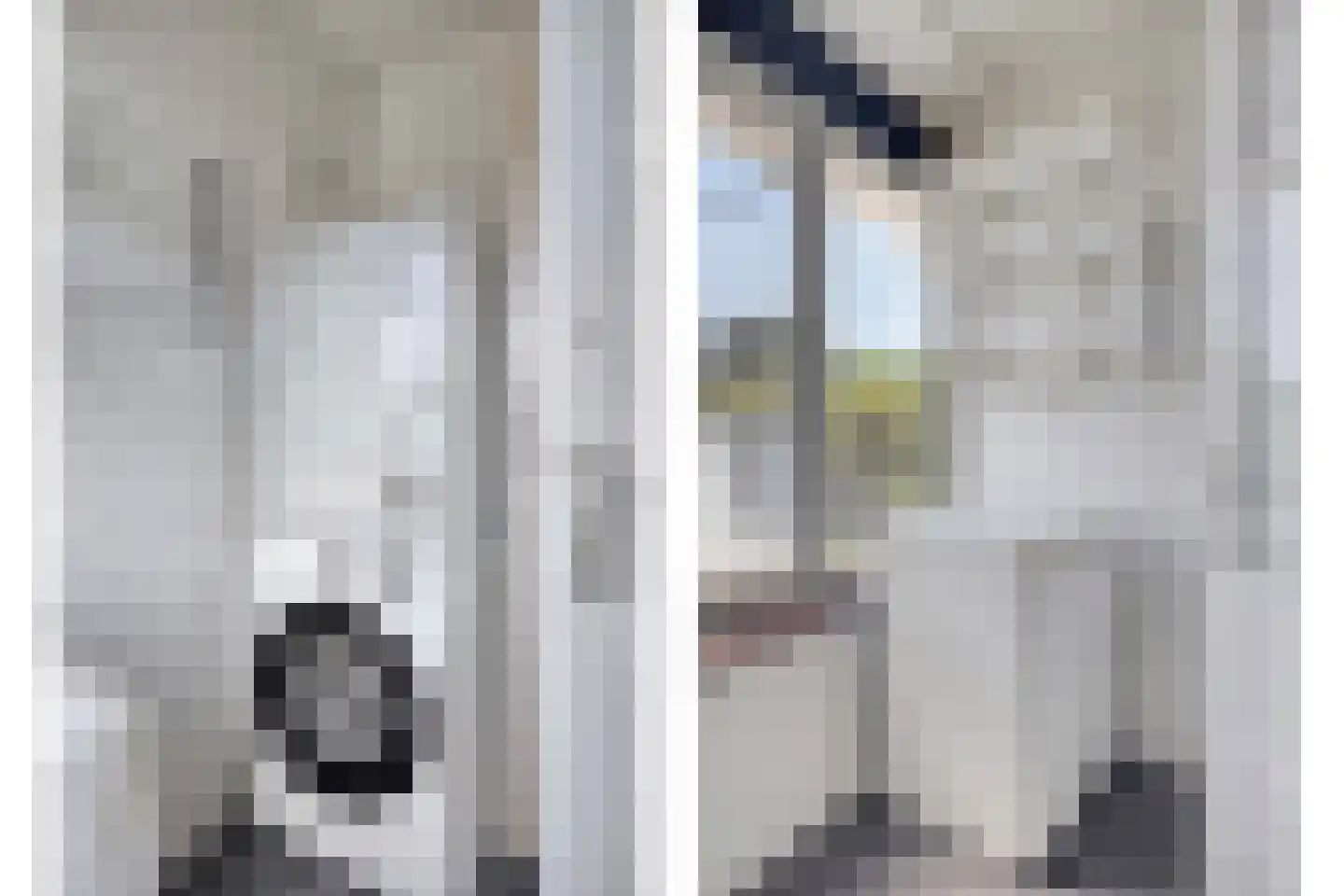 Pater Bleijsstraat 15 Tilburg thumbnail 31