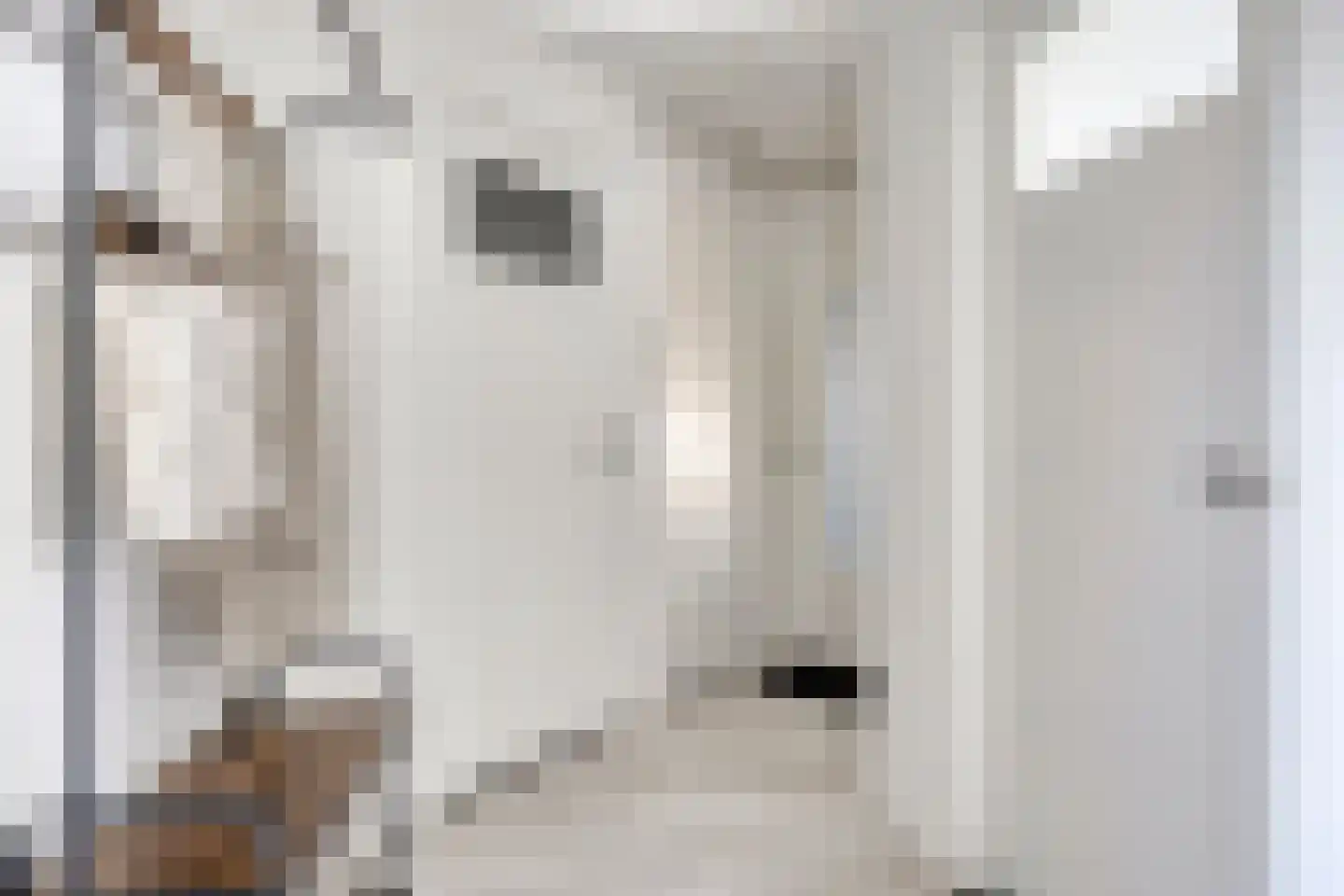 Pater Bleijsstraat 15 Tilburg thumbnail 32