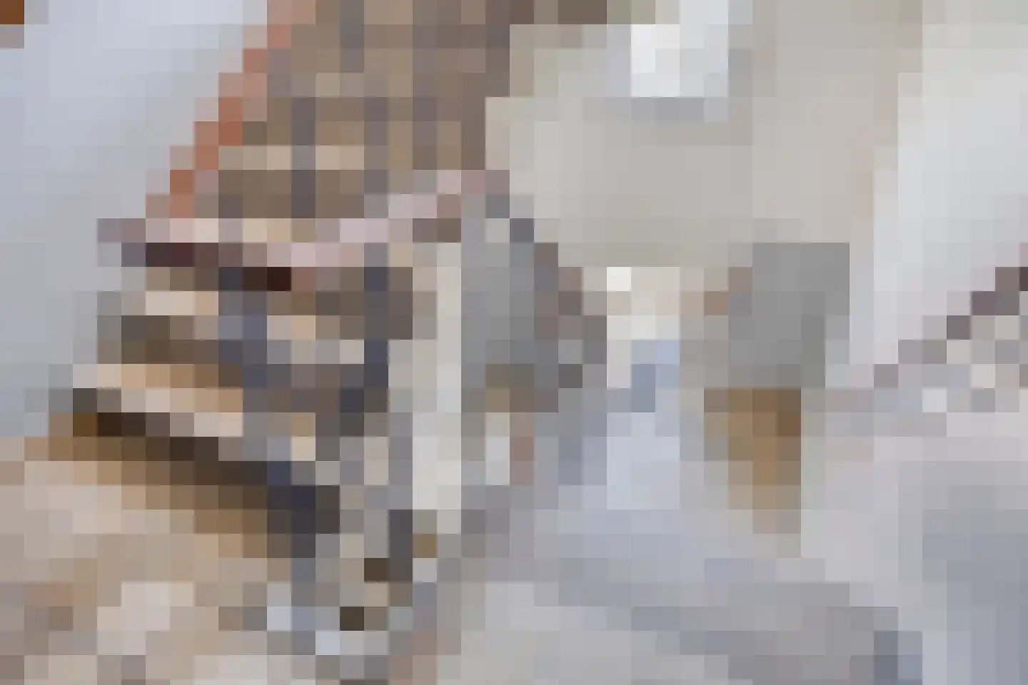 Pater Bleijsstraat 15 Tilburg thumbnail 45