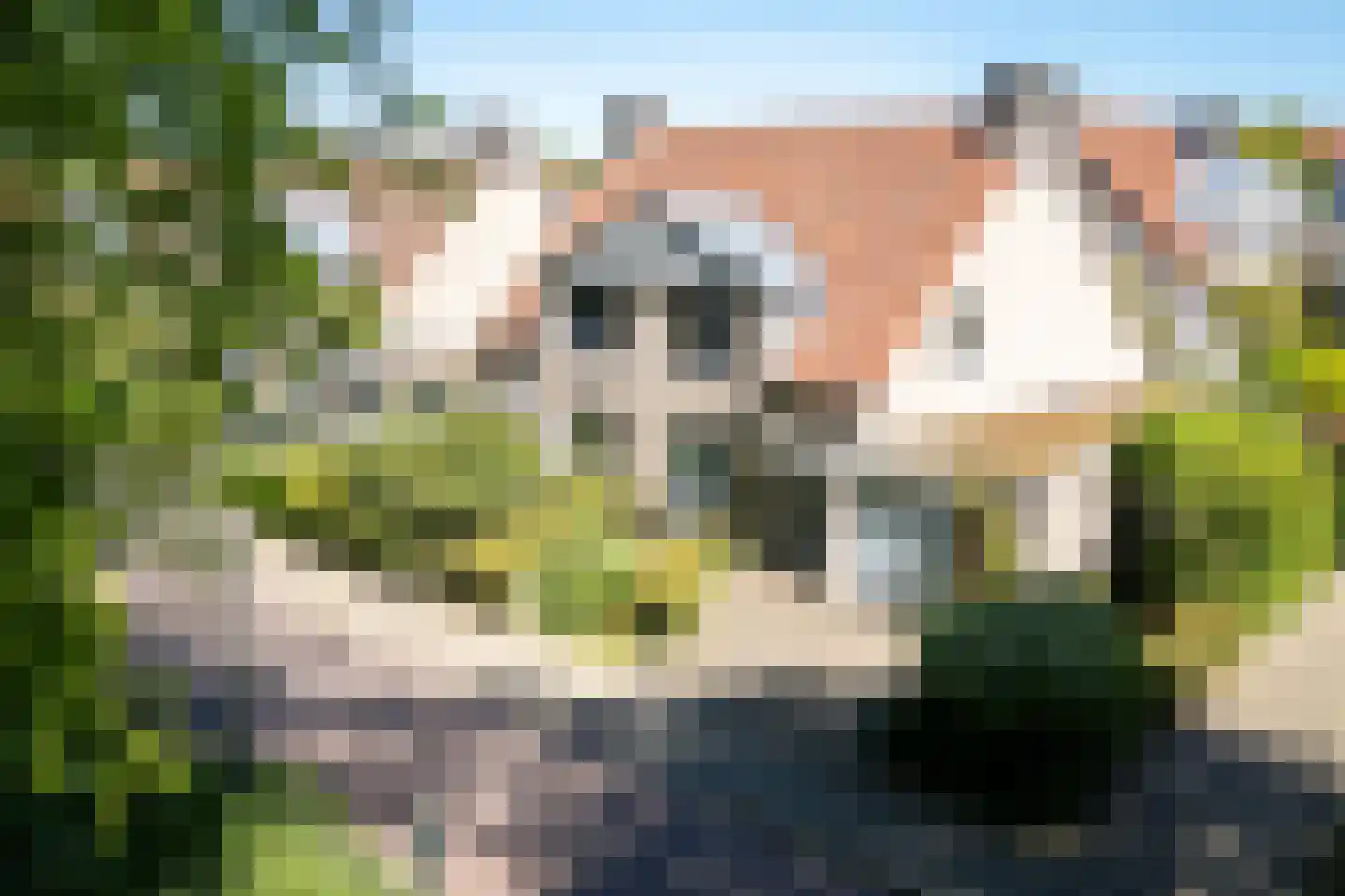 Pater Blommaertlaan 35 Nijmegen