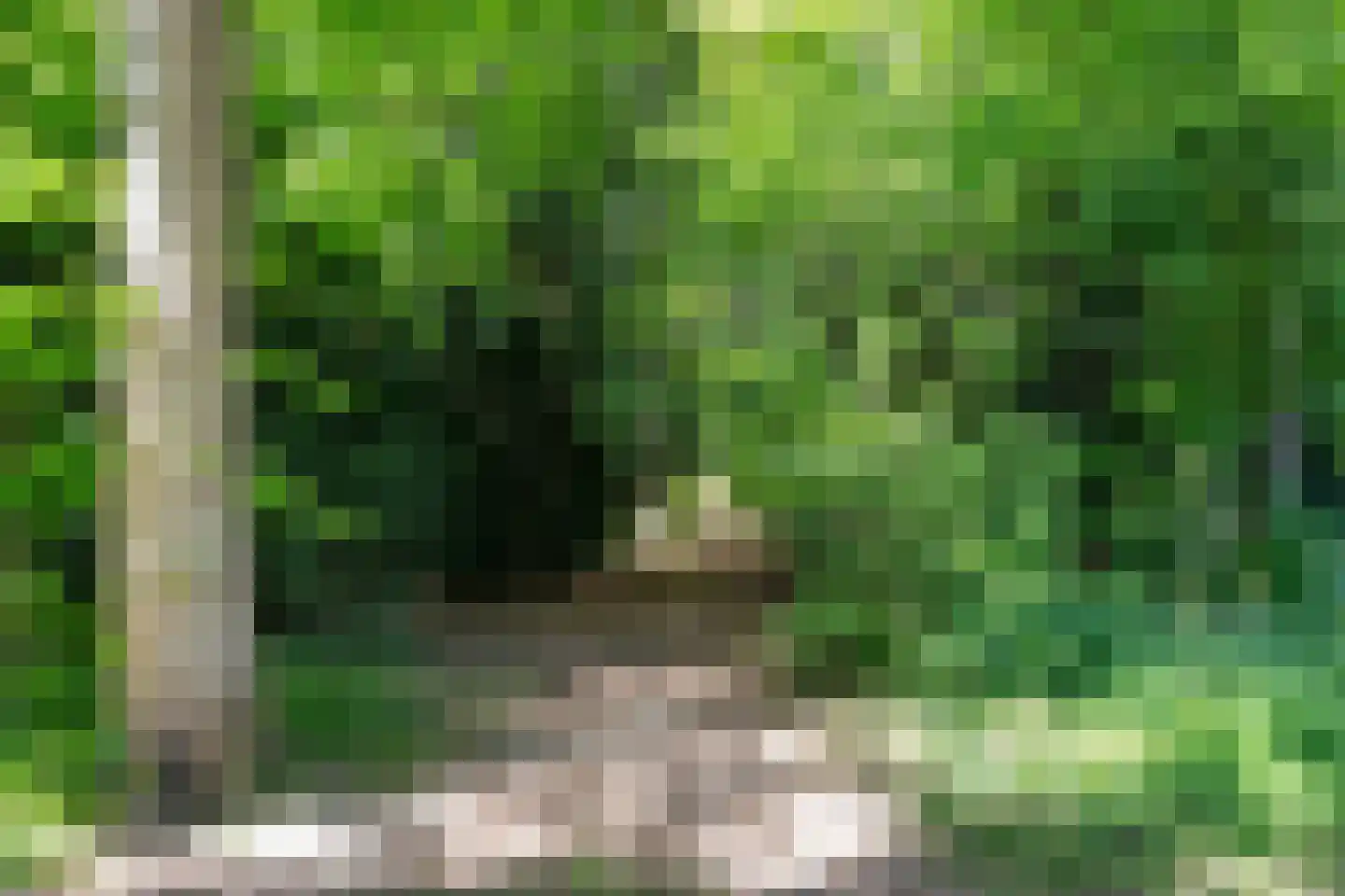 Pater Blommaertlaan 35 Nijmegen thumbnail 56
