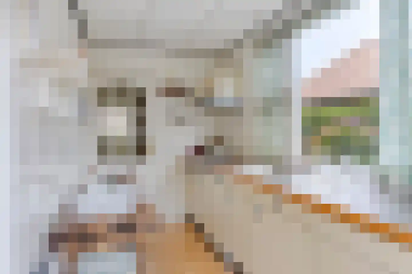 Pater Bollenstraat 8 Helmond thumbnail 15