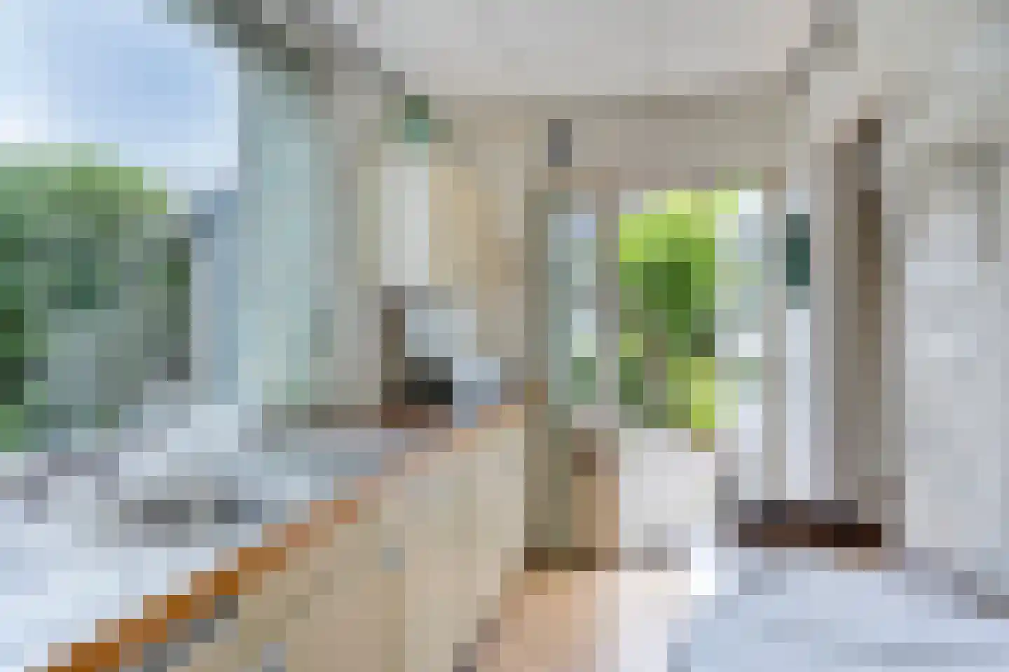 Pater Bollenstraat 8 Helmond thumbnail 16