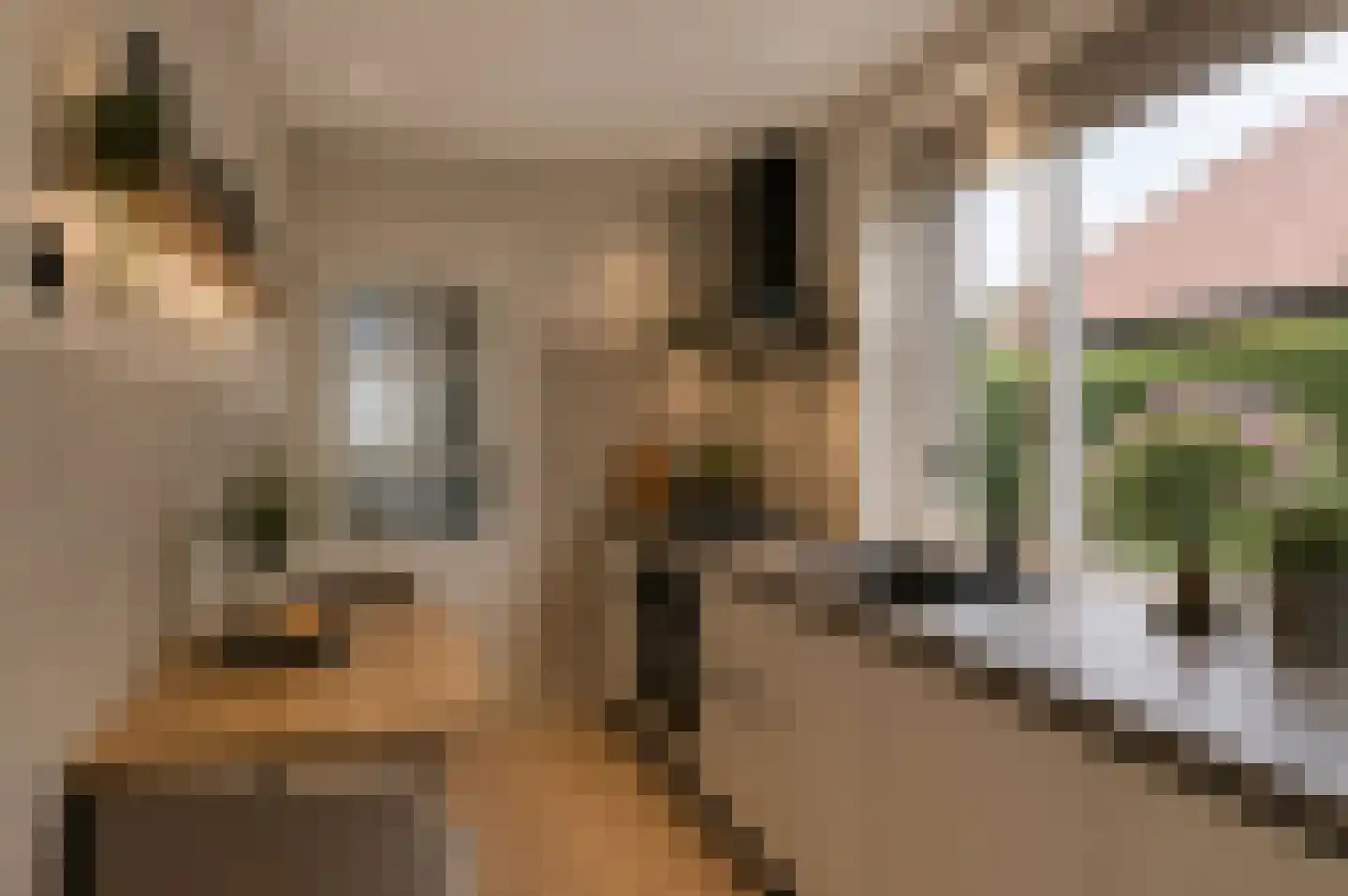 Pater Bollenstraat 8 Helmond thumbnail 18