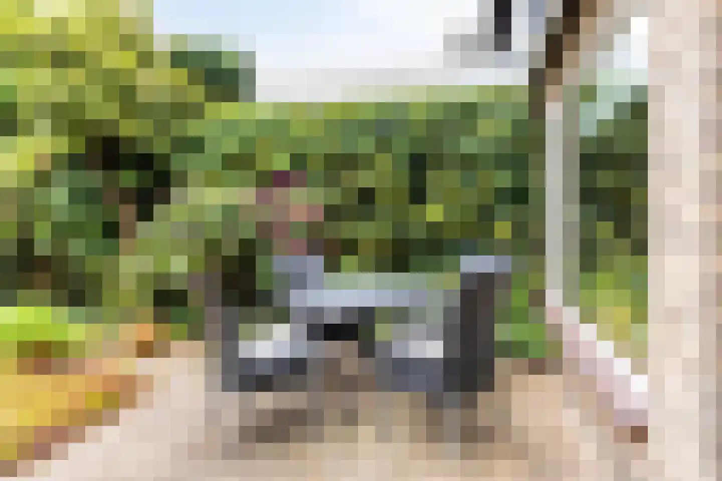 Pater Bollenstraat 8 Helmond thumbnail 33