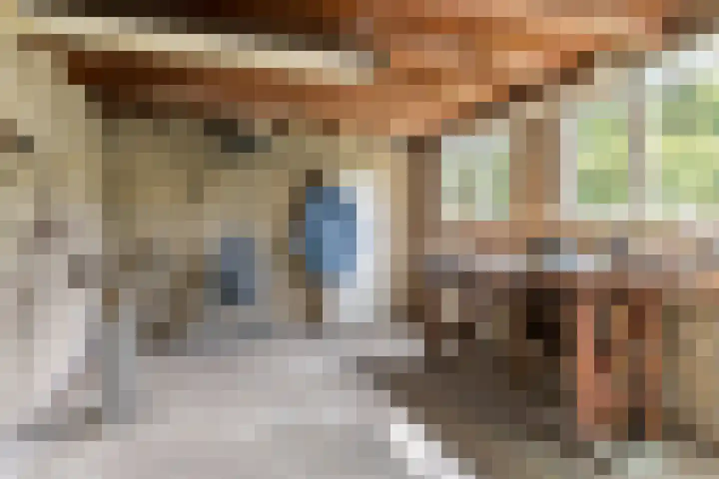 Pater Bollenstraat 8 Helmond thumbnail 36