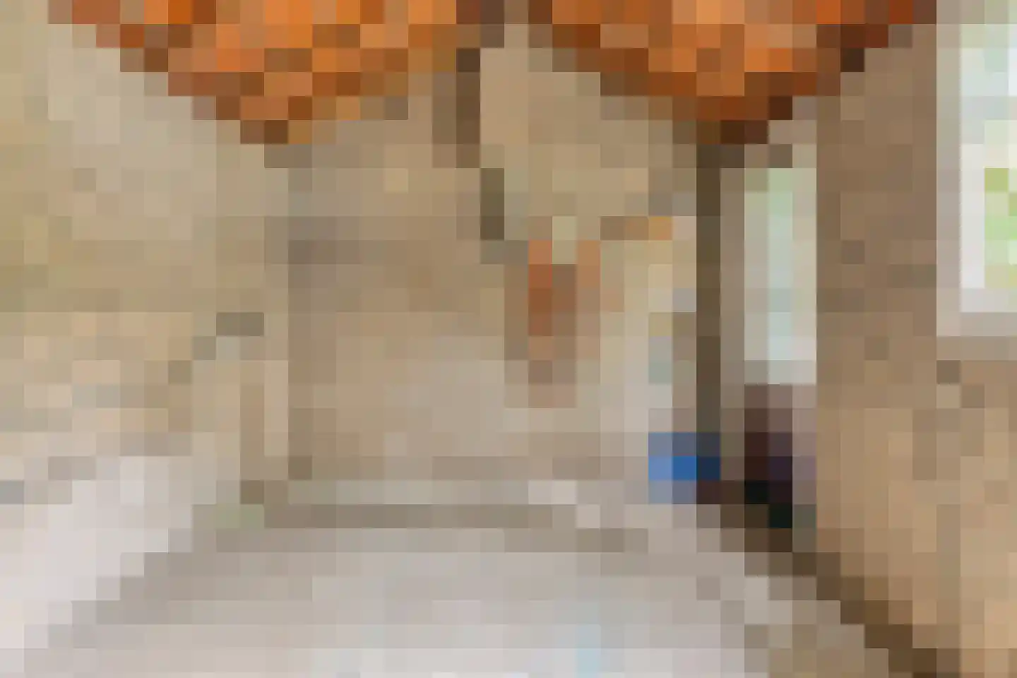 Pater Bollenstraat 8 Helmond thumbnail 41