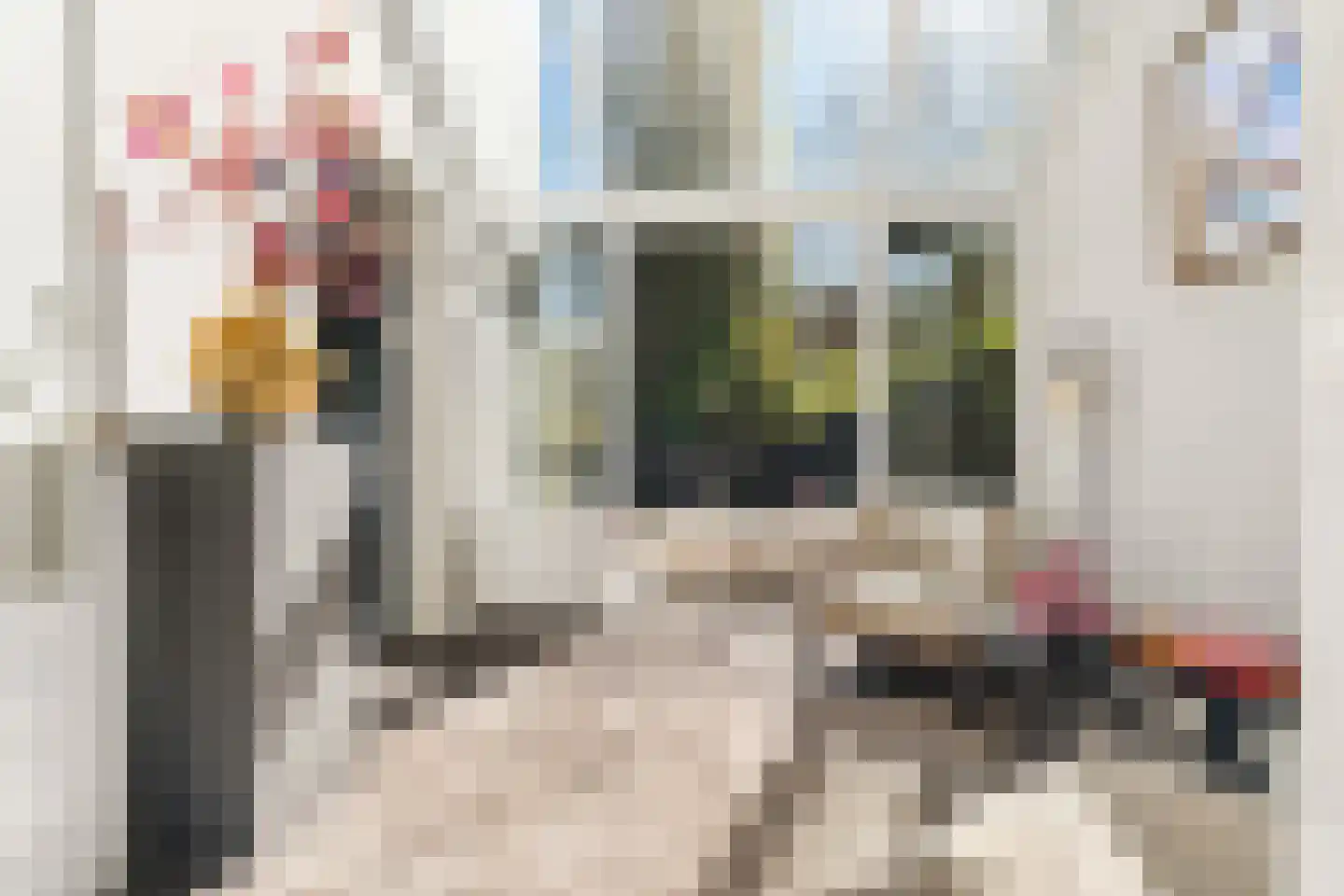 Pater Brugmanstraat 14 Nijmegen thumbnail 17