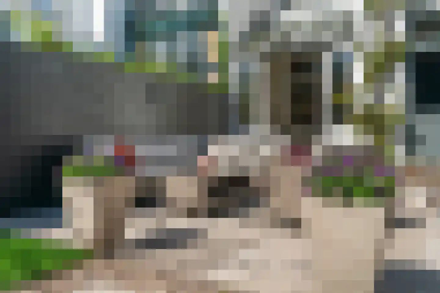 Pater Brugmanstraat 14 Nijmegen thumbnail 63