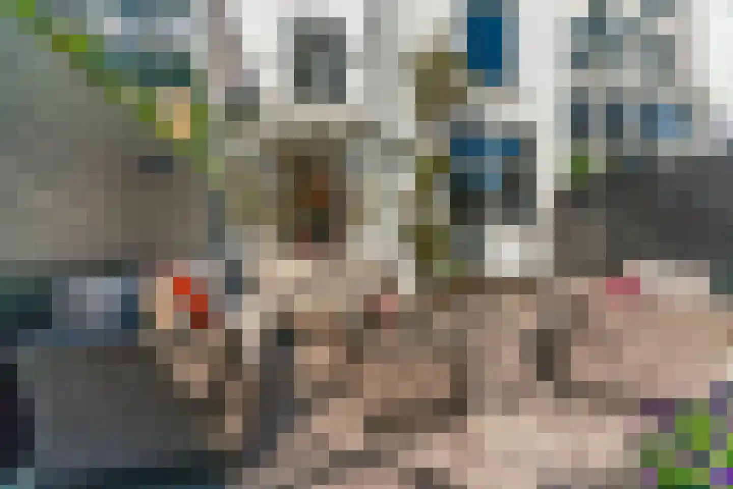 Pater Brugmanstraat 14 Nijmegen thumbnail 66
