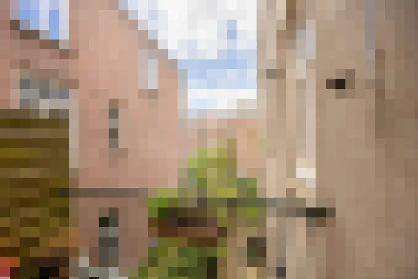 Pater Brugmanstraat 35 Nijmegen thumbnail 32