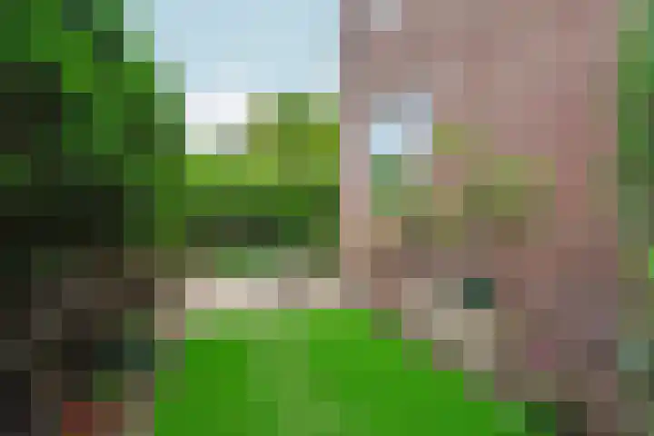 Pater Brugmanstraat 40 Nijmegen thumbnail 8