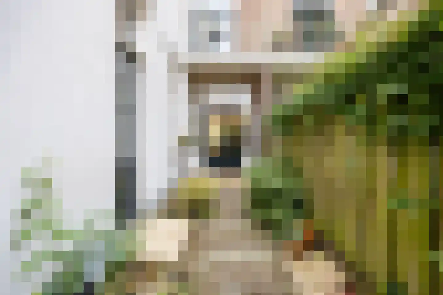 Pater Brugmanstraat 41 Nijmegen thumbnail 31