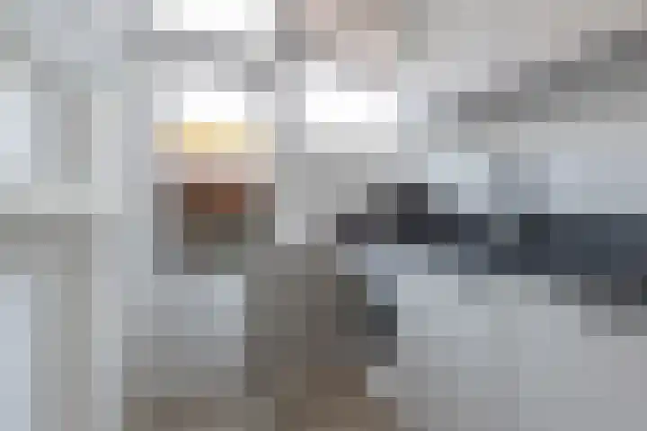 Pater Brugmanstraat 45 Bolsward thumbnail 15