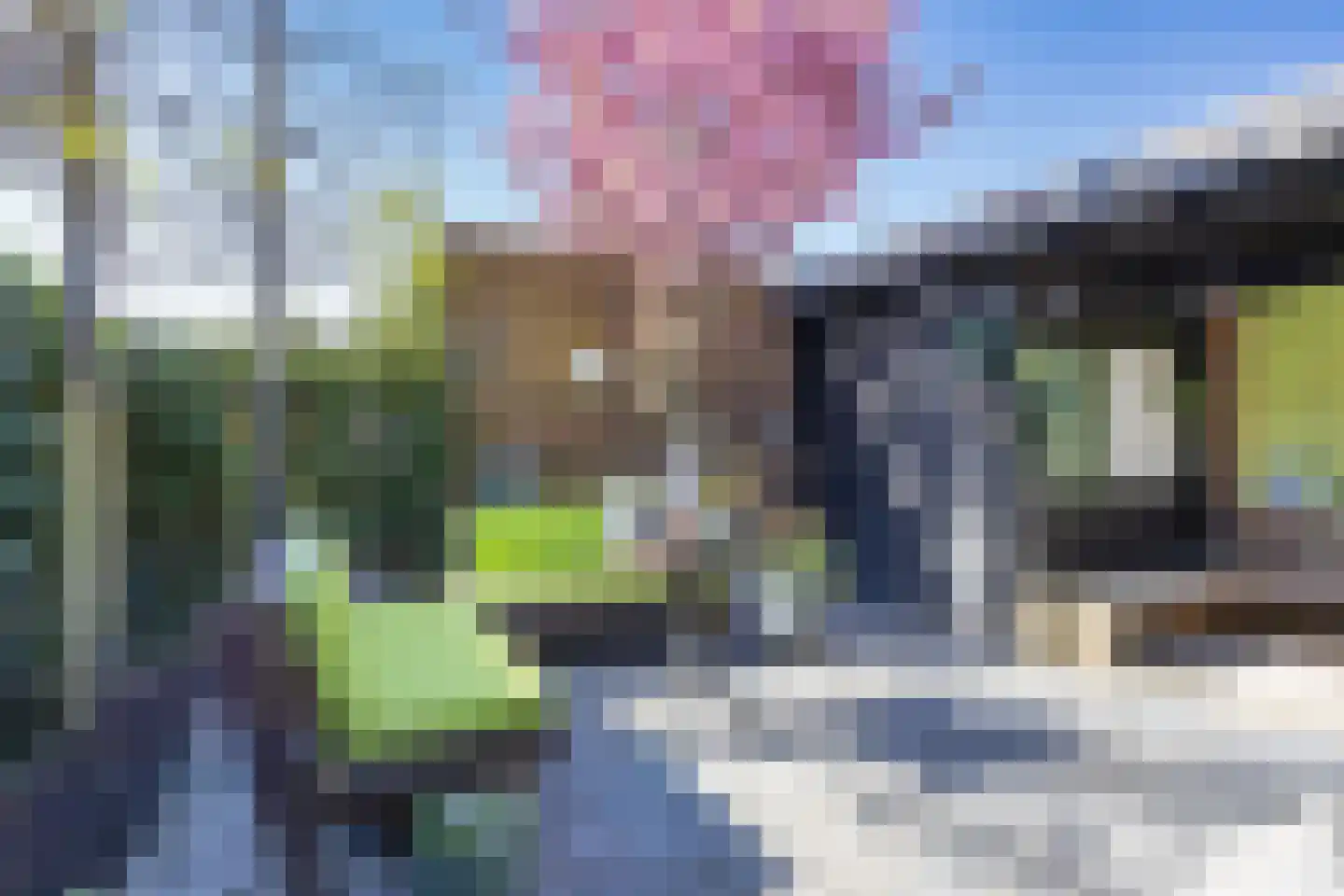 Pater Brugmanstraat 51 Bolsward thumbnail 30
