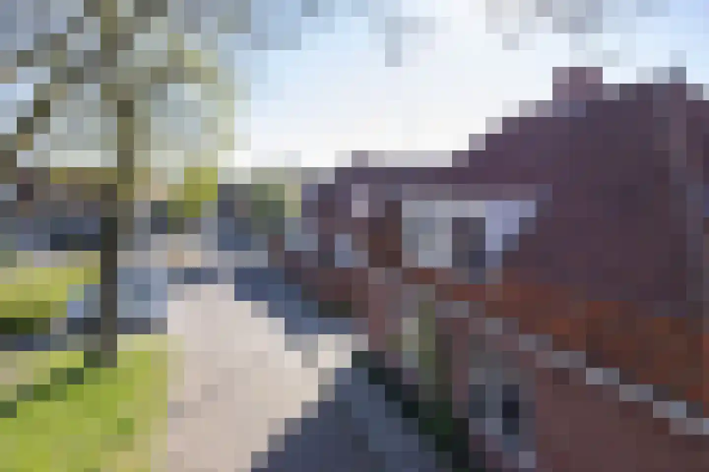 Pater Brugmanstraat 51 Bolsward thumbnail 34