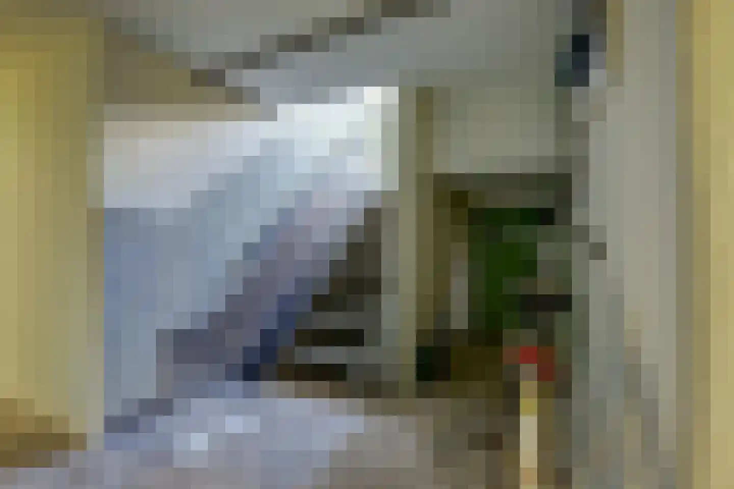 Pater Brugmanstraat 62 Nijmegen thumbnail 30