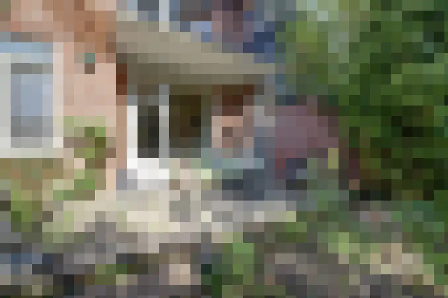 Pater Brugmanstraat 62 Nijmegen thumbnail 4