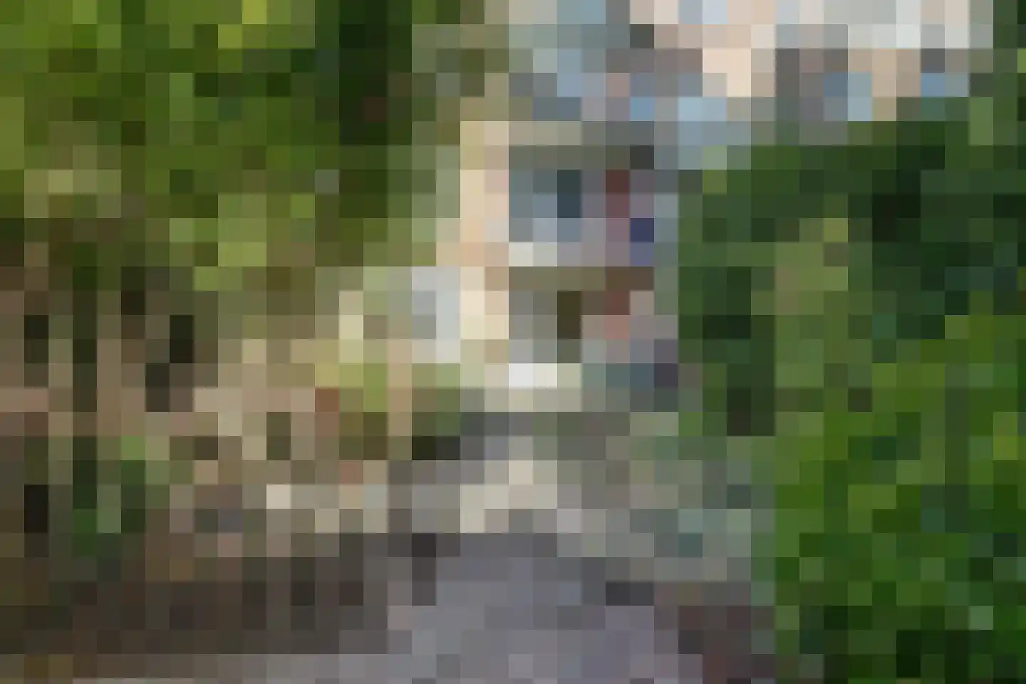 Pater Brugmanstraat 62 Nijmegen thumbnail 44