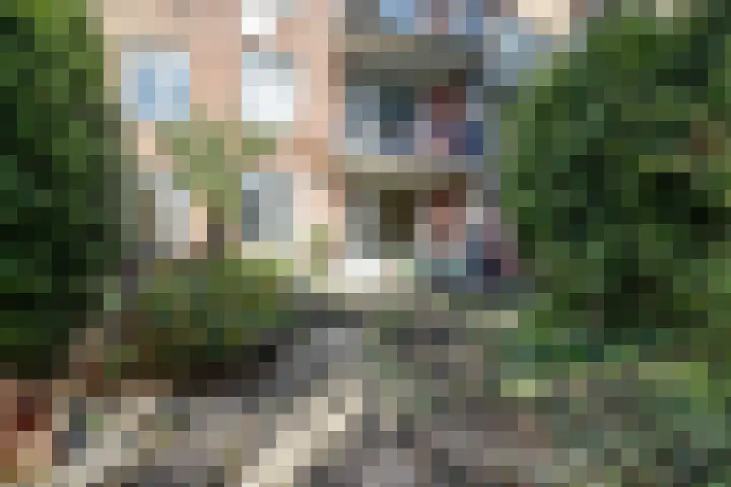 Pater Brugmanstraat 62 Nijmegen thumbnail 45