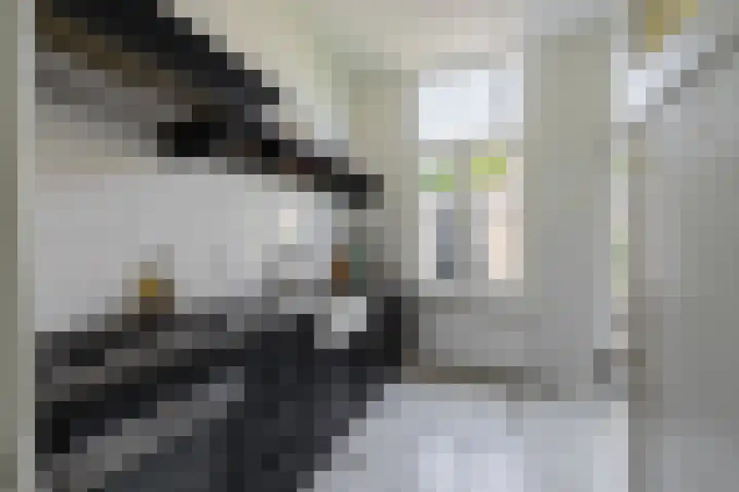 Pater Brugmanstraat 67 Nijmegen thumbnail 17