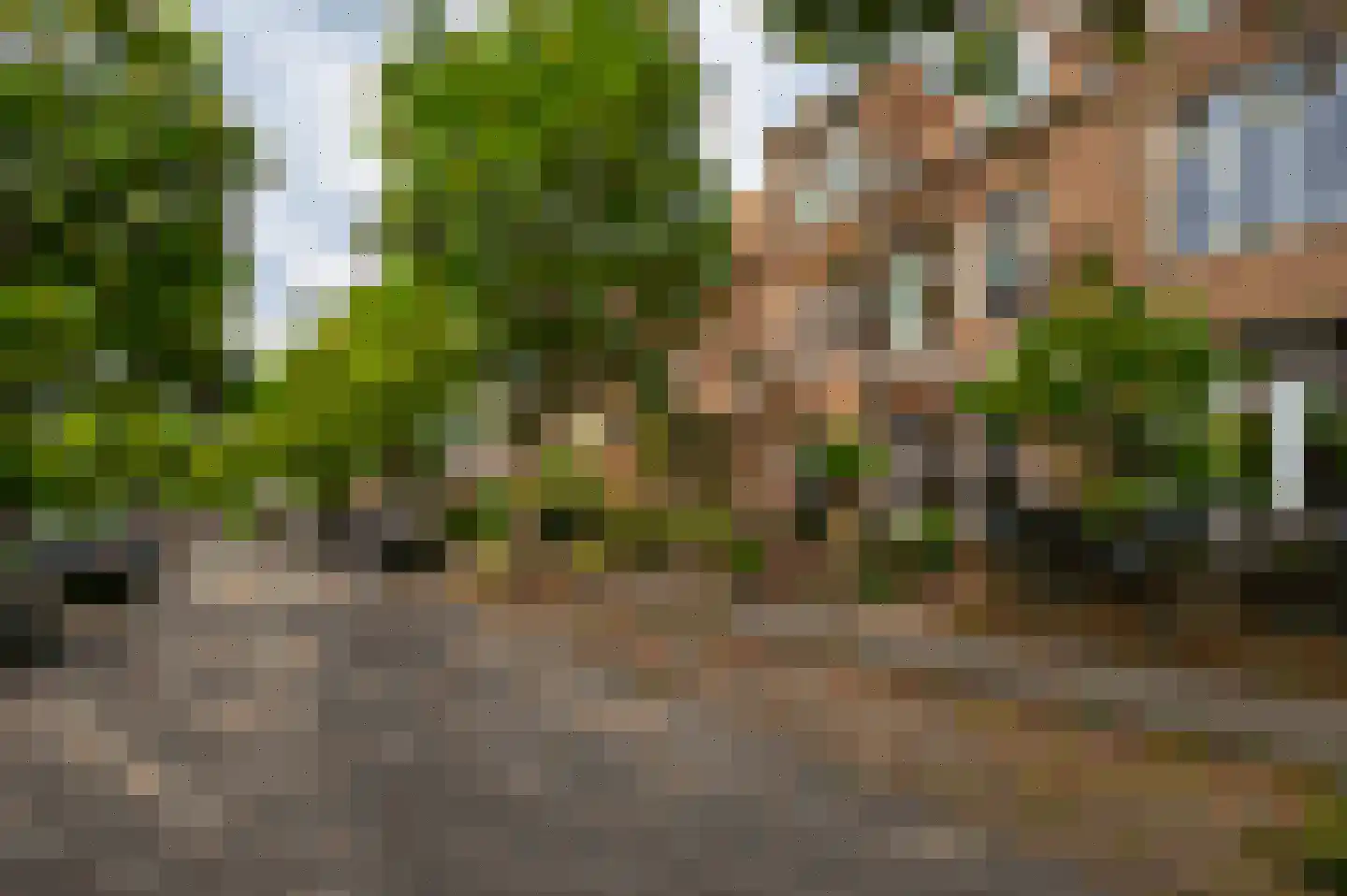 Pater Brugmanstraat 67 Nijmegen thumbnail 55