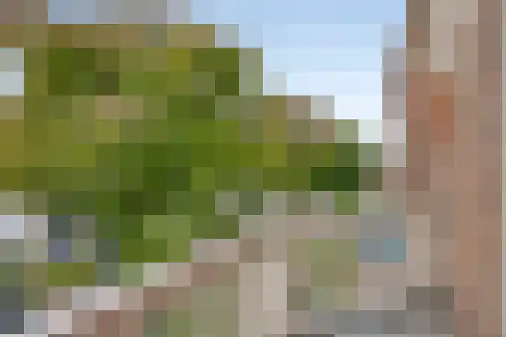 Pater Brugmanstraat 75 Nijmegen thumbnail 32