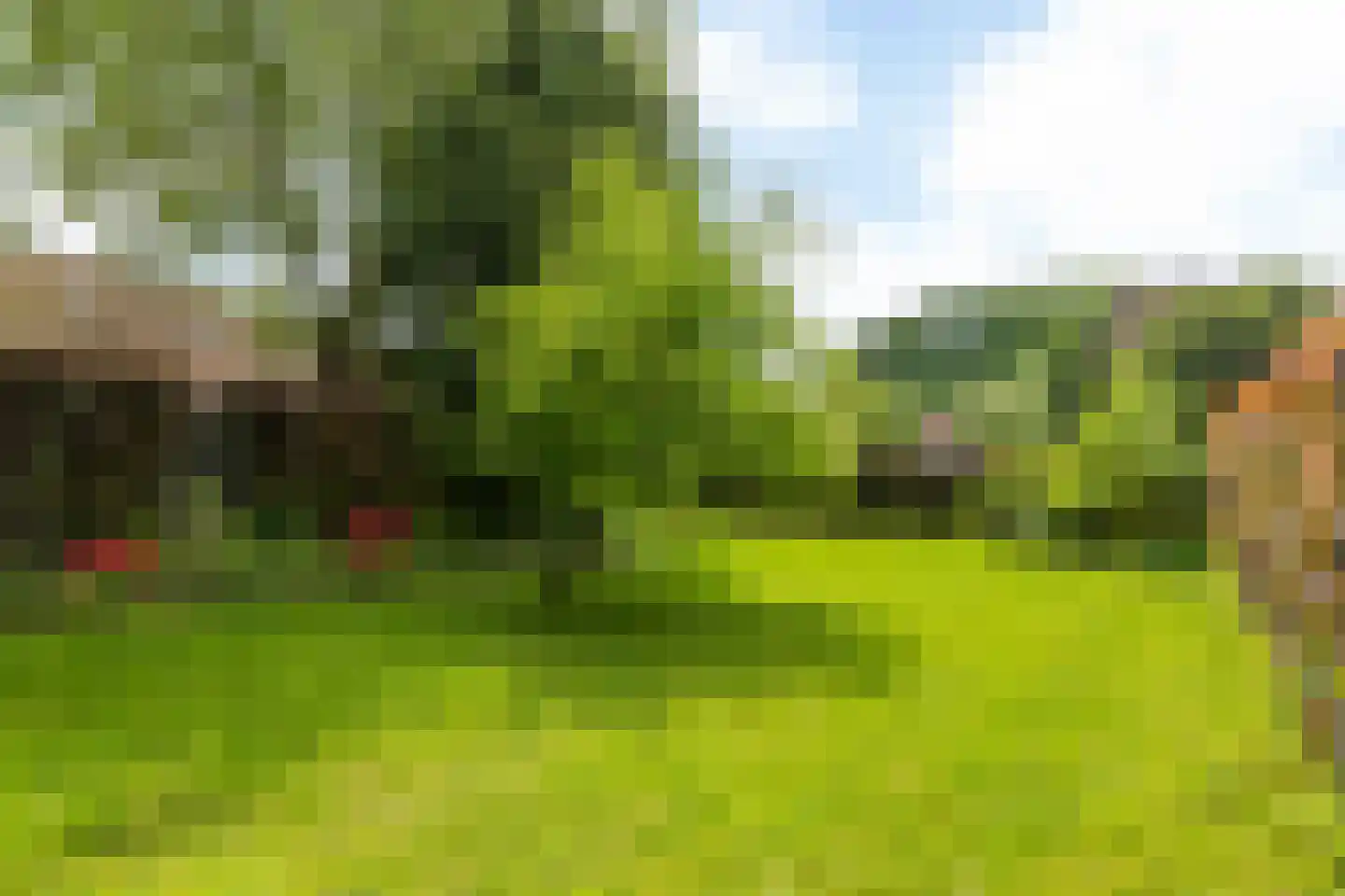 Pater Carel Houbenstraat 6 Munstergeleen thumbnail 25