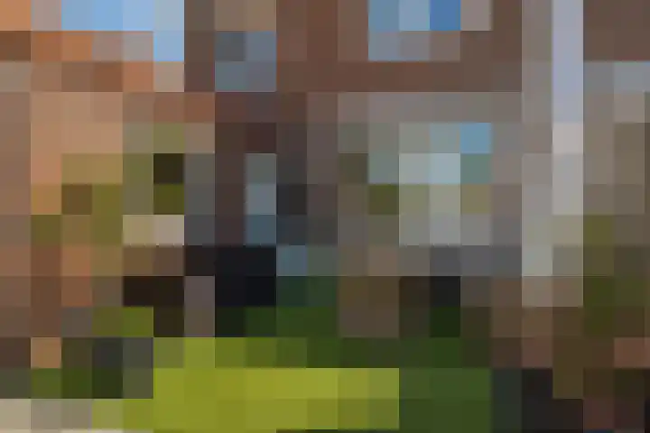 Pater Chevalierstraat 40 Sittard thumbnail 33