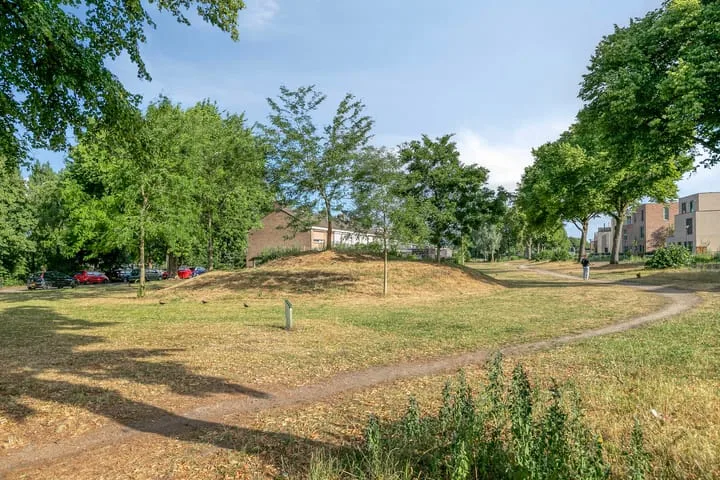 Pater Damiaanstraat 14 Roosendaal thumbnail 48