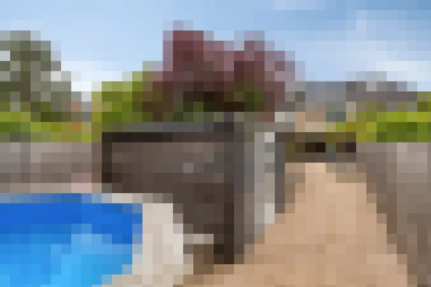 Pater Damiaanstraat 69 Hoofddorp thumbnail 30