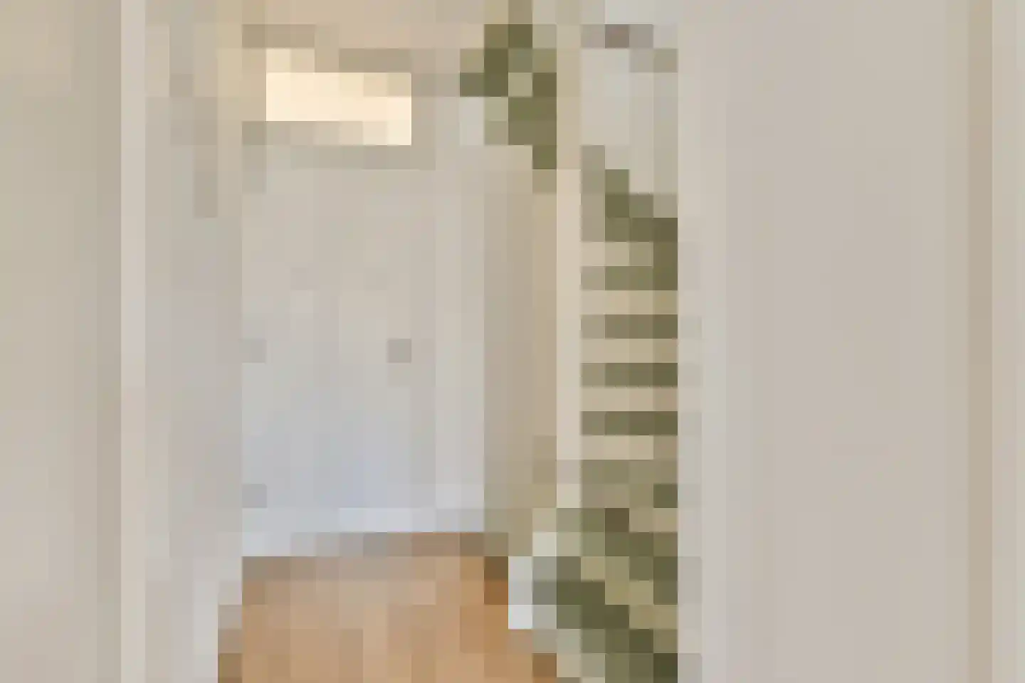 Pater Damiaanstraat 95 Hoofddorp thumbnail 8