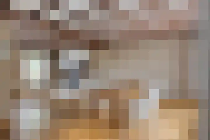 Pater de Leeuwstraat 31 Beek en Donk thumbnail 10